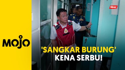 Bilik sewa 'sangkar burung' diserbu Menteri