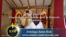 Communion In salutari du 21e dimanche après la Pentecôte - Ermitage Saint-Bède - Ciné Art Loisir Jean-Claude Guerguy