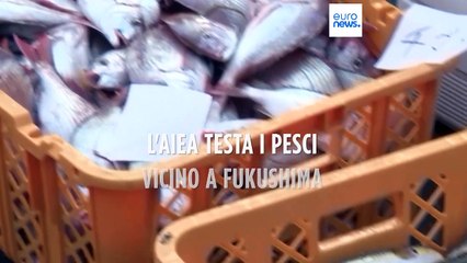 Fukushima, l'Aiea testa acqua e pesci per tutelare la salute pubblica