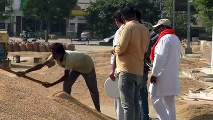 Time is passing at its own pace, government machinery is not ready to wake up from sleep