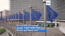 Kampf gegen Fake News: EU ermittelt gegen Meta, TikTok und X