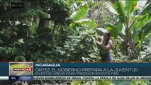 Gobierno de Nicaragua impulsa estrategias educativas como la Universidad en el Campo