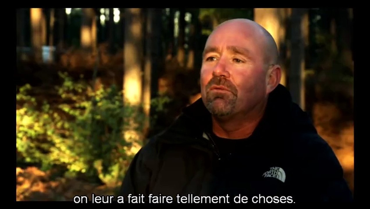 Cheval de guerre
