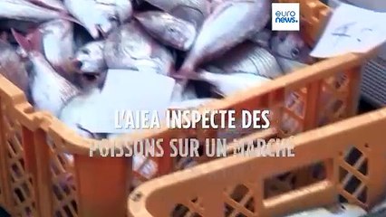 Japon : l'AIEA inspecte des poissons sur un marché de Fukushima