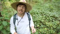 Surviving 24 Hours Straight In A Rain Forest Mr Beast Video