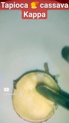 Tapioca root _ Kappa _ Cassava _ Evening Snack #shorts