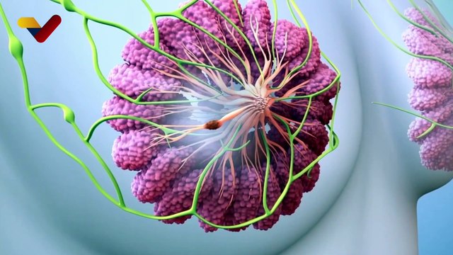 Cada 19 de octubre se celebra el Día Mundial de la Lucha contra el Cáncer de Mama