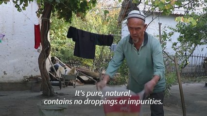 Nasvay chewing tobacco poisons Kyrgyzstan