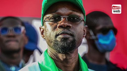 Urgent! Les avocats de Sonko brisent le silence