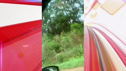 Integrantes do MST rendem policiais militares durante protesto no PR