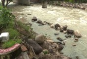 Río Cuale en calma a la espera de la Tormenta Tropical “Lidia”