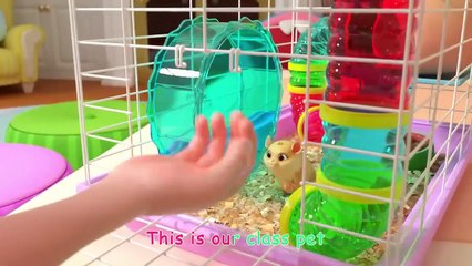 Class Pet Sleepover - CoComelon Nursery Rhymes & Kids Songs