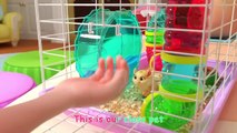Class Pet Sleepover - CoComelon Nursery Rhymes & Kids Songs