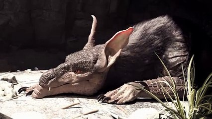 Stunning CGI Animated Short 'Retaliation' by Emely Michel 🎬