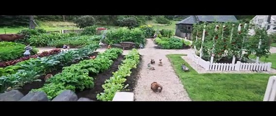 Pierre Lapin 2 : panique en ville