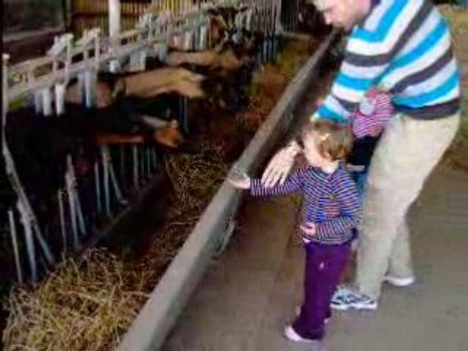 ferme du chaudron magique