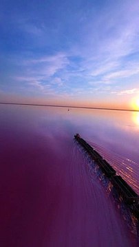 Le train voyage à travers une eau rose pittoresque