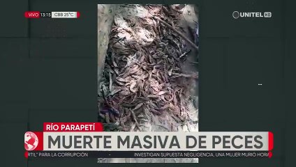 Denuncian una mortandad de peces en el Río Parapetí creen que es por la sequía