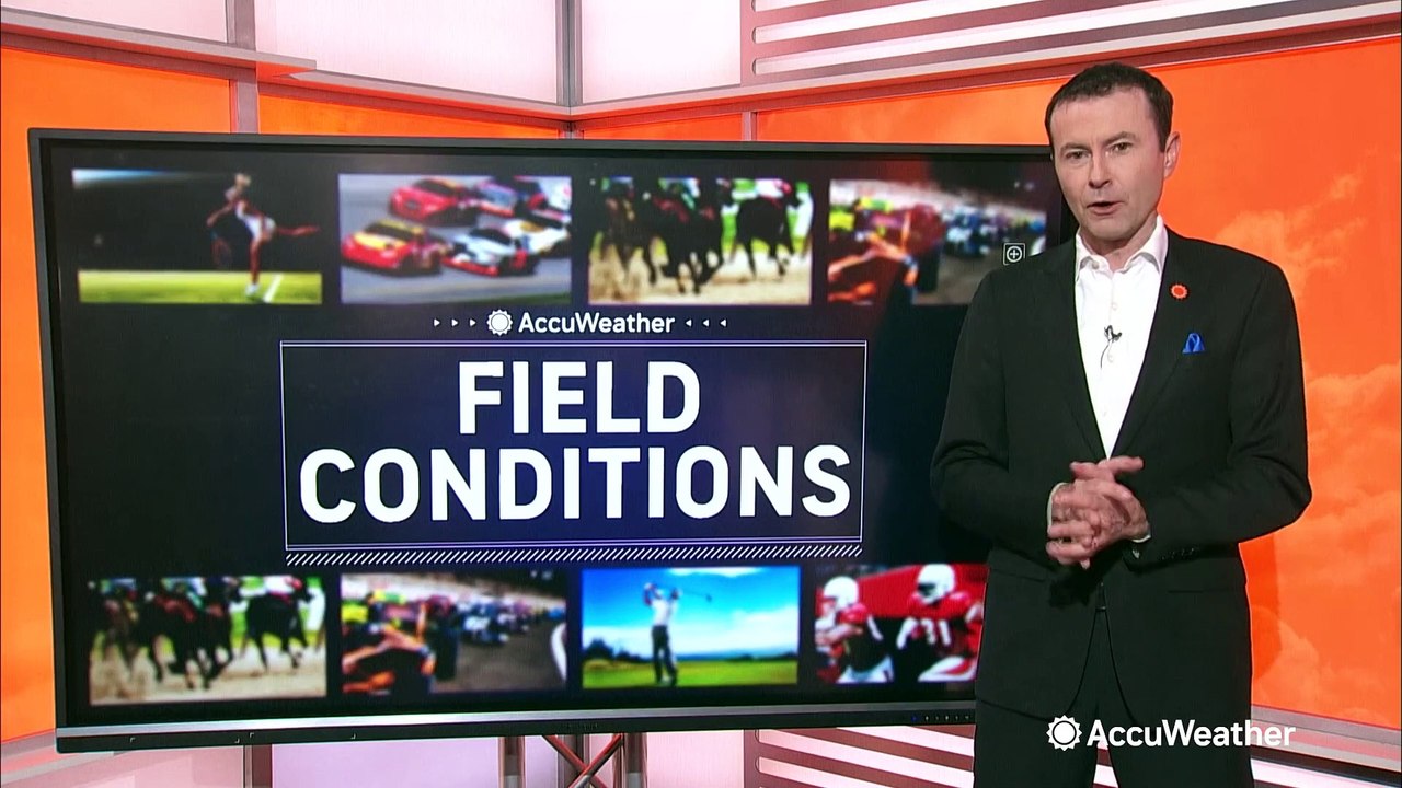 Combining baseball and urban gardening at Fenway Park