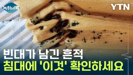 내 방에서도 빈대 발견? 침대에서 확인해야 할 ‘이 흔적’ 🛏️