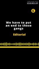 EDITORIAL EN INGLÉS | WE HAVE TO PUT AN END TO THESE GANS