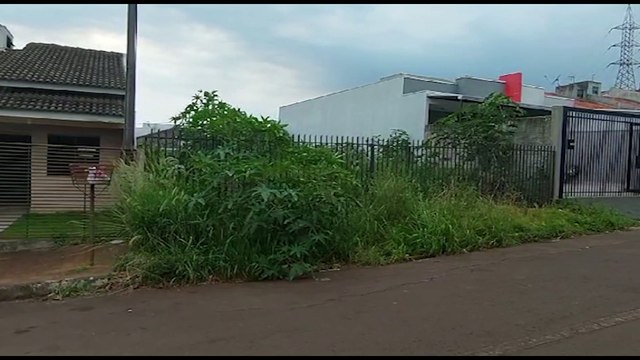 Moradores do Santa Felicidade pedem ajuda para limpeza de lote na Rua Anibeli Galina
