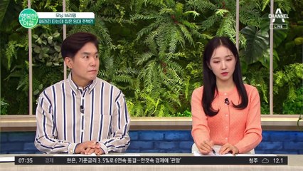 공공 임대 주택에 입주한 가짜 서민?! 페라리 타는데 집은 임대 주택 #임대주택