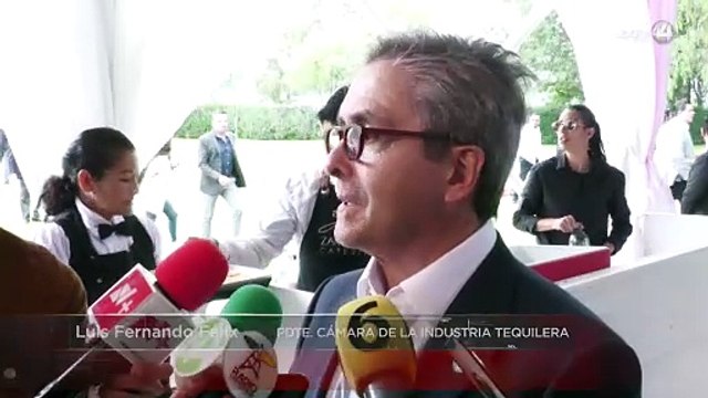 Aunque el agave bajó a mitad de precio, productores sostienen sus plantaciones