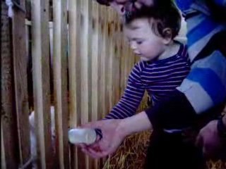 chloé donne le biberon à un agneau