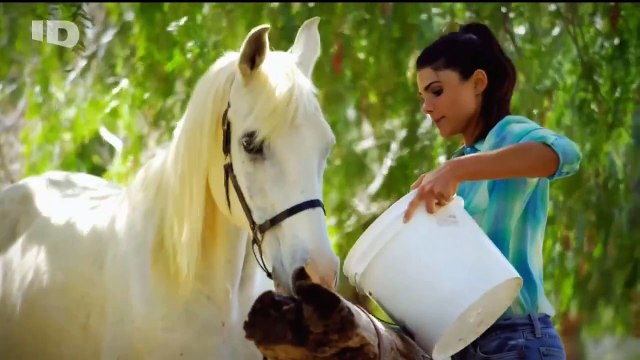 Peché Mortels Triangles amoureux mortels