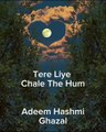 Adeem Hashmi Ghazal, Tere Liye Chale The Hum #ghazalcollection #ghazal #hindi