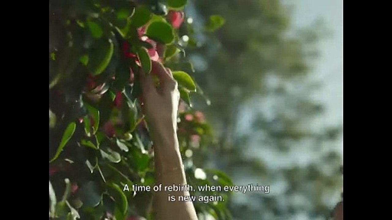 Shayda Movie