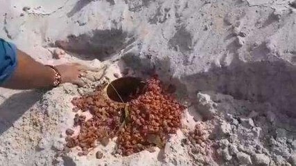 प्रयागराज: सेमरहा गंगा घाट पर बनाई जा रही कच्ची शराब, जानें क्या बोली महिला