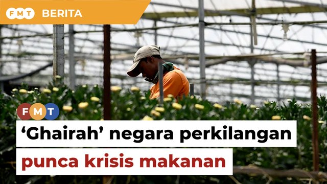 Krisis makanan akibat 'ghairah' ubah Malaysia 'negara perkilangan', kata pakar ekonomi