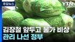 [취재N팩트] 김장철 앞두고 물가 비상...물가 관리 나선 정부 / YTN