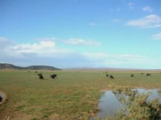tunisie bizerte  Mateur