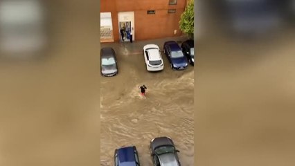 Las consecuencias de la borrasca Aline en toda España