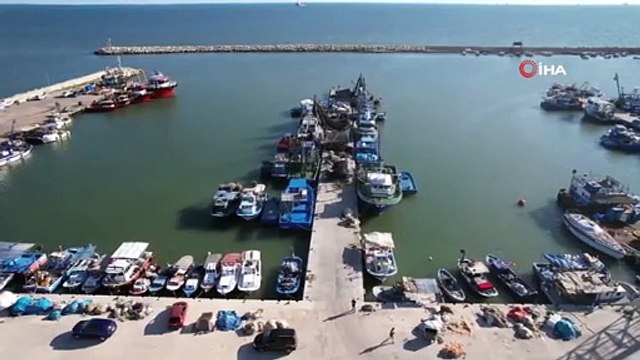 L'interdiction de chasser en Méditerranée est levée, les étals de poisson commencent à se remplir