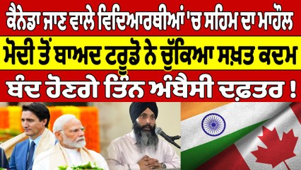 ਕੈਨੇਡਾ ਜਾਣ ਵਾਲੇ ਵਿਦਿਆਰਥੀਆਂ 'ਚ ਸਹਿਮ ਦਾ ਮਾਹੌਲ, ਮੋਦੀ ਤੋਂ ਬਾਅਦ ਟਰੂਡੋ ਨੇ ਚੁੱਕਿਆ ਸਖ਼ਤ ਕਦਮ |OneIndia Punjabi
