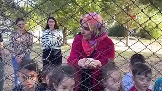 Des enfants ont été témoins de l'amitié entre un chat et un chien