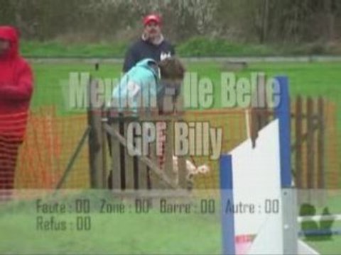 concours d'agility Meulan mars 2008