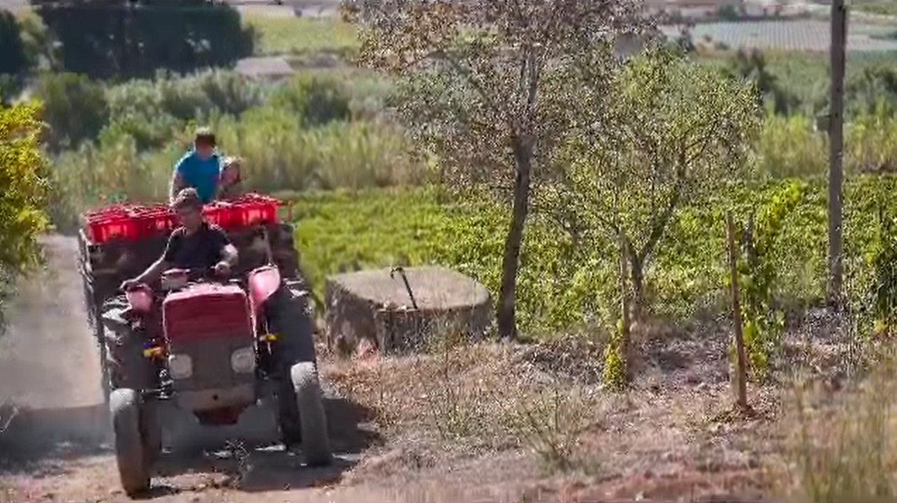 La rebelión de los pequeños viticultores