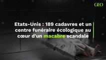 Aux Etats-Unis, 189 cadavres et un centre funéraire écologique au cœur d'un macabre scandale