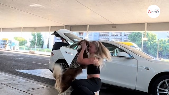 Elle vit 202 jours séparée de son toutou : 459K personnes explosent de joie devant leurs retrouvailles (vidéo)