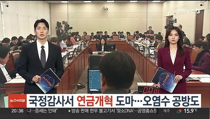 국정감사서 연금개혁 지연 도마…오염수 공방도
