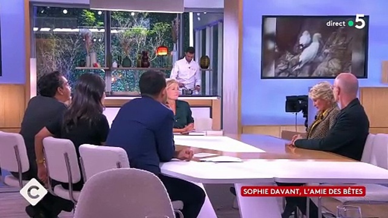Sophie Davant raconte sa rencontre improbable avec l'ancien Président Valéry Giscard d'Estaing. "C à vous", France 5