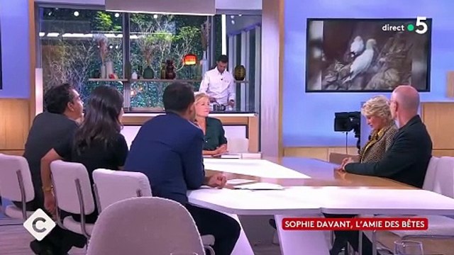 Sophie Davant raconte sa rencontre improbable avec l'ancien Président Valéry Giscard d'Estaing. C à vous , France 5