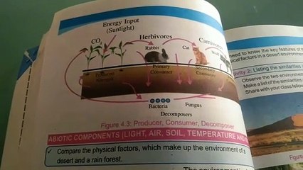 Chapter four abiotic components.