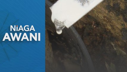 Pekebun kecil dijangka raih tambahan pendapatan sehingga RM350 sebulan - LGM