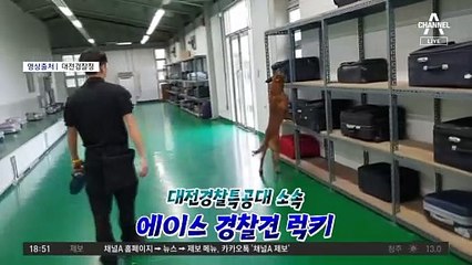 “럭키야 미안하고 고마워”…폭발물 탐지견과 눈물 작별